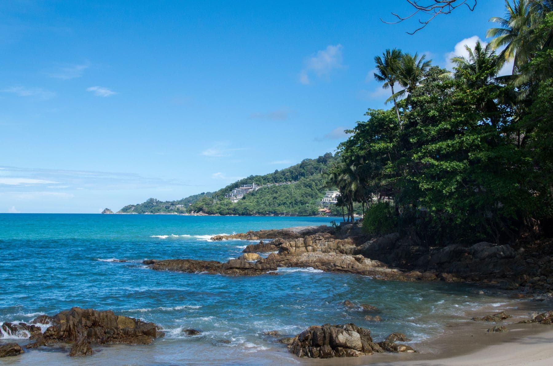 Eine ruhige, von Palmen gesäumte Straße auf Phuket, die auf die Hügel zuführt