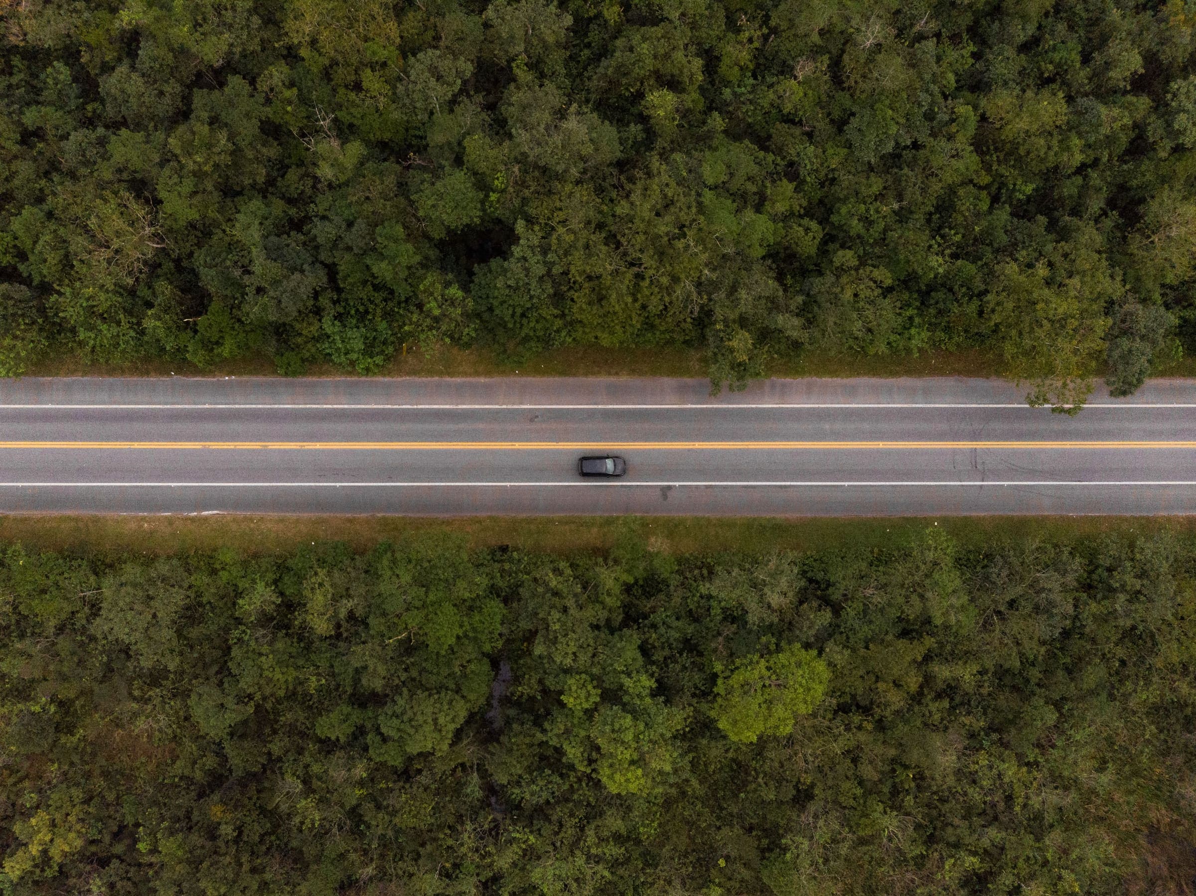 Eine zweispurige Straße, die gerade durch dichten Wald führt, direkt von oben gesehen, mit einem einzelnen Auto darauf